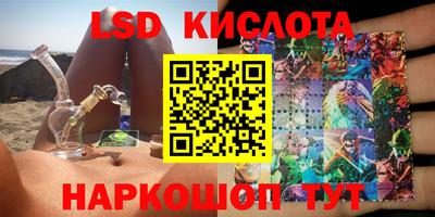 крисы Пенза