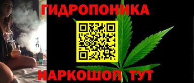 молекула духа Бийск