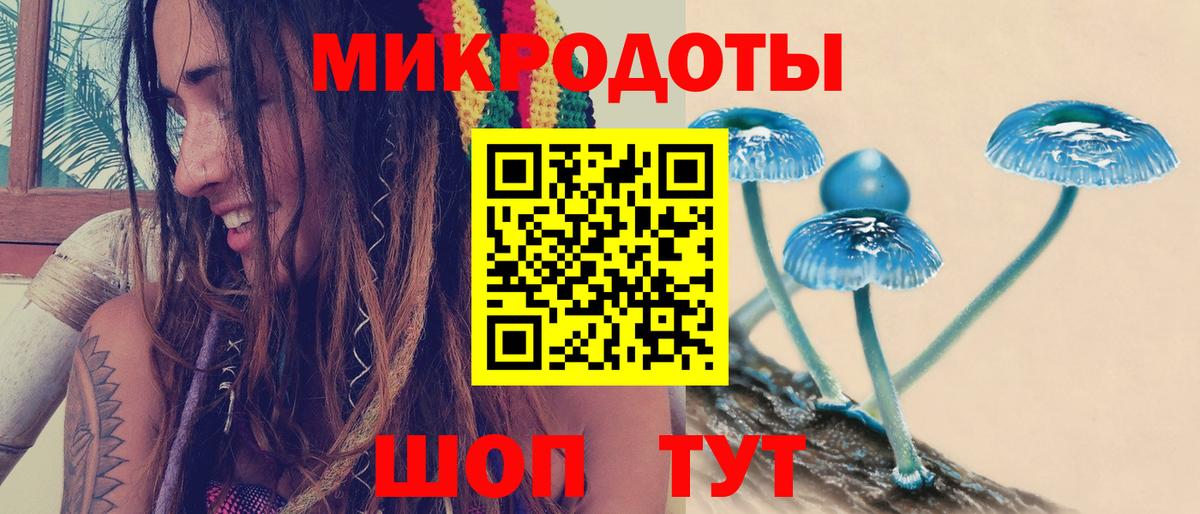 как найти   Вход с VPN  Казань  Псилоцибиновые грибы мицелий 
